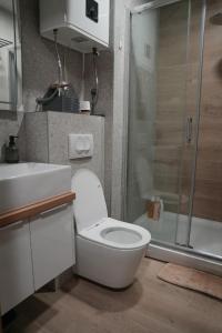 Bathroom sa Nova planina Studio apartment 106