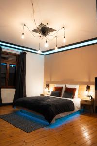 a bedroom with a bed and a ceiling with lights at Édouard & Richard in Colmar