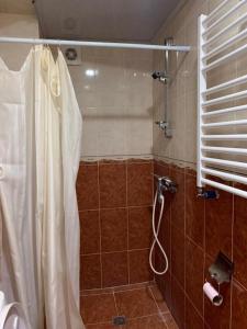 Kʼumlistsʼikhe的住宿－axis，带淋浴和浴帘的浴室