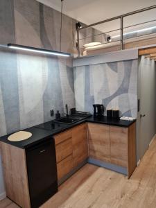 Kuchyňa alebo kuchynka v ubytovaní Apartament Ustroń