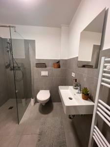 y baño con aseo, lavabo y ducha. en Große Apartments für Monteure & Feriengäste, en Dorsten