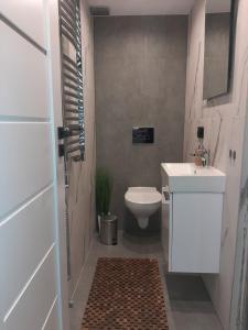 a bathroom with a white sink and a toilet at Izery Apartamenty in Szklarska Poręba