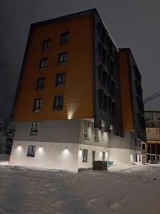 a man standing in front of a building in the snow at Apartman IV Villa Mont in Jahorina