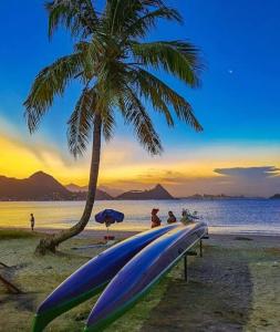 een rij surfplanken op een strand met een palmboom bij Apart. em Icaraí na quadra praia com garagem Wi-fi in Niterói