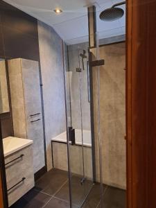 een badkamer met een douche en een wastafel bij Juromi 42 in Gramsbergen