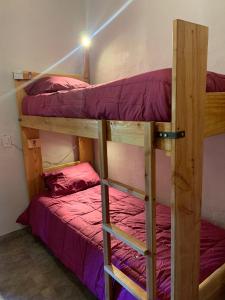 a couple of bunk beds in a room at Anacrusa Hostel in Epuyén