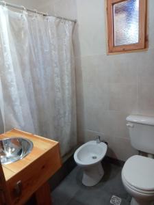 a bathroom with a toilet and a sink at Anacrusa Hostel in Epuyén