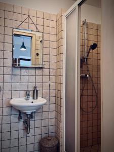 een badkamer met een wastafel, een spiegel en een douche bij Studio73 Ljubljana in Ljubljana