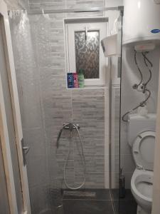 uma casa de banho com um chuveiro e um WC. em Oaza em Banja Luka