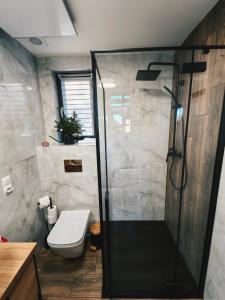 a bathroom with a shower and a toilet at Repakowa Chata in Polańczyk