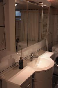 La salle de bains est pourvue d'un lavabo et d'un miroir. dans l'établissement Kleine Wohnung im Grünen, à Hambourg