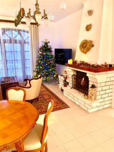 ein Wohnzimmer mit einem Weihnachtsbaum und einem Kamin in der Unterkunft Villa Butterfly in Budapest