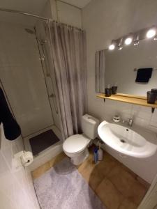 a bathroom with a toilet and a sink and a shower at Ap22 Nature Ardennes Economy class apartment in La Calamine