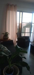 a living room with a couch and a plant at Apartments A&A - Santa Maria in Santa Maria