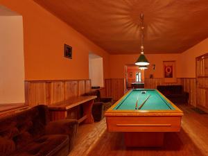 a room with a pool table in a room at Apartmány Hamříkova stáj in Dolní Moravice