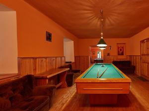 Biliár nebo kulečník v ubytování Apartmány Hamříkova stáj