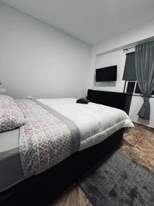 Schlafzimmer mit einem Bett und einem Flachbild-TV in der Unterkunft Avenida 52 A in Los Llanos de Aridane