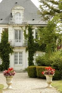 dois vasos com flores em frente a uma casa em Logis L'hermitage em Buzançais