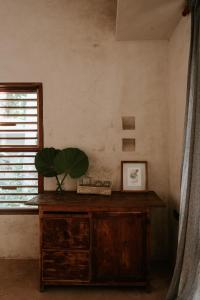 Foto sihtkohas Espita asuva majutusasutuse Casona los Cedros galeriist