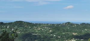 Foto sihtkohas Rivière-Pilote asuva majutusasutuse VILLA ELEM f 3 Hibiscus galeriist