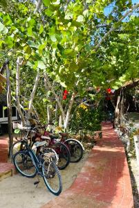 a group of bikes parked on a brick sidewalk at Casa Jade Ecobungalows Las coloradas in Yuluc