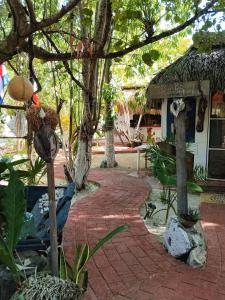 Zahrada ubytování Casa Jade Ecobungalows Las coloradas
