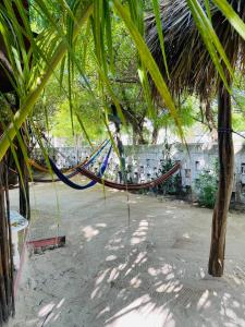 Zahrada ubytování Casa Jade Ecobungalows Las coloradas