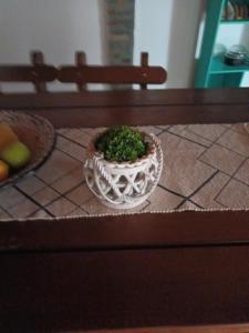 塔夸倫博的住宿－Mahatma x habitación，桌上的白碗里的植物