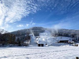 Mountain Chalet Chapeau v zime