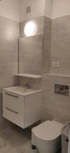 a bathroom with a sink and a toilet and a mirror at Modern Apartment with great terasse and mountain view in Braşov +16 photos