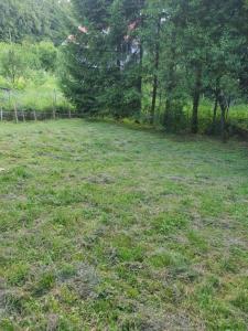 a field of grass with trees in the background at Apartments for families with children Delnice, Gorski kotar - 21746 in Delnice