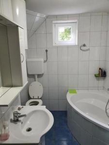 a bathroom with a toilet and a sink and a tub at Apartments for families with children Delnice, Gorski kotar - 21746 in Delnice