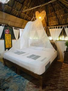 a bed in a room with a mosquito net at Casa Jade Ecobungalows Las coloradas in Yuluc