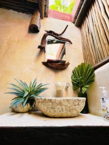 a bathroom sink with a mirror and two plants at Casa Jade Ecobungalows Las coloradas in Yuluc