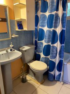 a bathroom with a toilet and a sink and a shower curtain at Alojamiento Pichidangui in Pichidangui