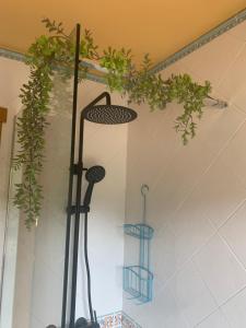 a room with plants hanging from a wall at Casa Major in Mont-ral