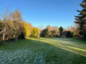 a large grass field with trees in the background at Bridge Farm in Uttoxeter