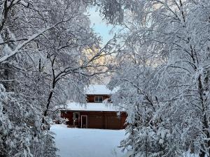 una casa cubierta de nieve con árboles a su alrededor en Northern Nights Lodging, en Palmer