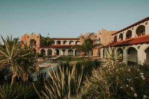 Rancho Grande的住宿－Hacienda Los Olivos, Valle de Guadalupe，棕榈树建筑的庭院