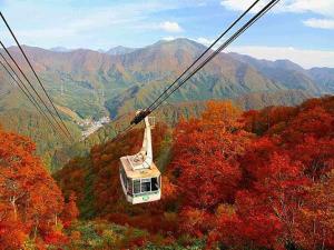 a gondola flying over a mountain in the fall at Naeba Prince Hotel in Yuzawa