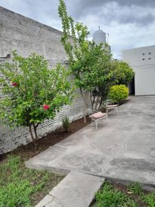 a patio with two trees and a chair next to a building at EcoNina in Salta