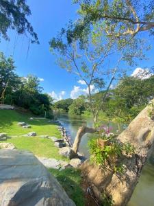 une vue sur une rivière avec un arbre au premier plan dans l'établissement ไร่ไปรยา แก่งกระจาน, à Ban Wang Malako