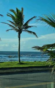 een palmboom aan de kant van een weg bij de oceaan bij Casa do Enzo in Peruíbe