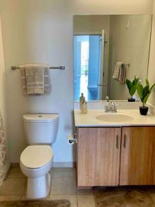 ein Badezimmer mit einem WC, einem Waschbecken und einem Spiegel in der Unterkunft Penthouse In South Loop Chicago in Chicago