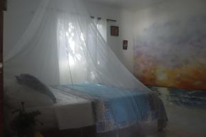 a cat laying on a bed with a mosquito net at Club Beach Ocean House in Juan de Acosta