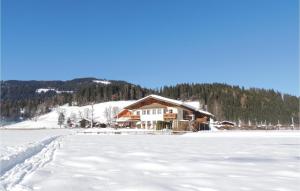 une maison sur un lac gelé dans la neige dans l'établissement 2 Bedroom Cozy Apartment In Flachau, à Flachau