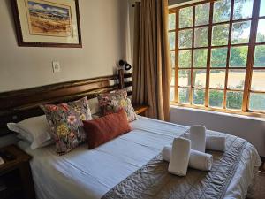 a bedroom with a bed with pillows and a window at Riverside Lodge & Conference Center in Aliwal North