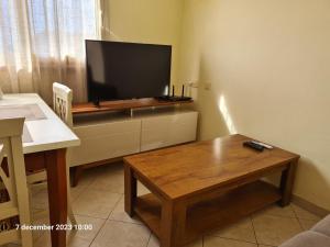 TV a/nebo společenská místnost v ubytování Plaza Top floor apartment