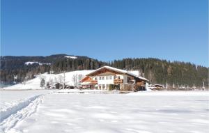 フラッハウにあるAmazing Apartment In Flachau With 2 Bedrooms And Wifiの雪の凍った湖上の家
