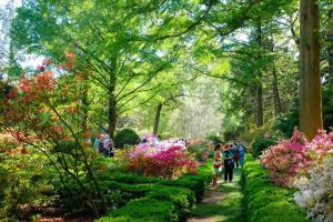 um grupo de pessoas andando por um jardim com flores em DC A lovely urban oasis condo em Washington
